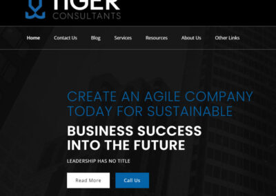 Tiger Consulting